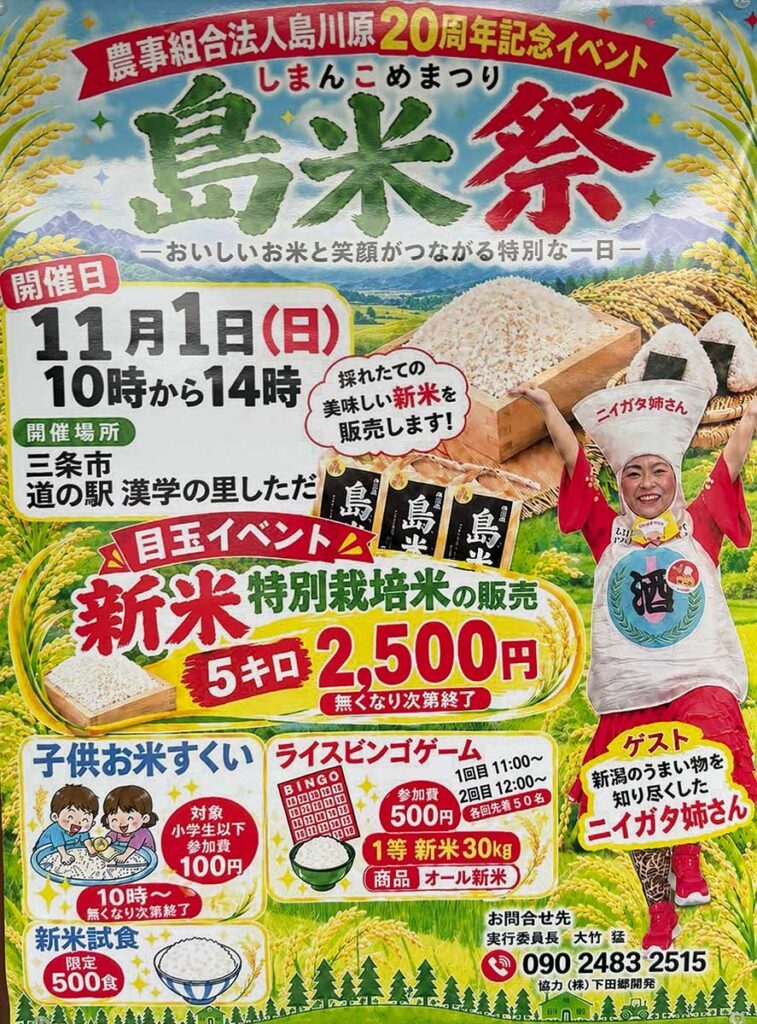 島米祭(しまんこめまつり)島川原20周年記念のフライヤー