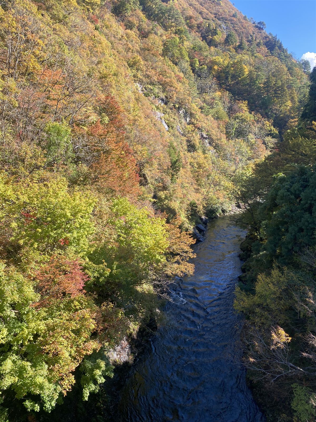 紅葉の渓谷
