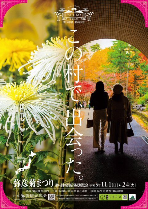 弥彦菊まつり(第66回 新潟県菊花展覧会)のフライヤー